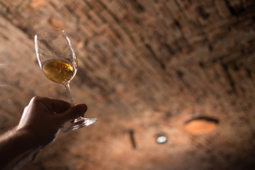 Sommelier enjoying the wine color in the old wine cellar