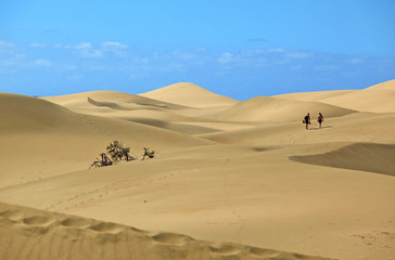 Fototapeta na wymiar na pustyni