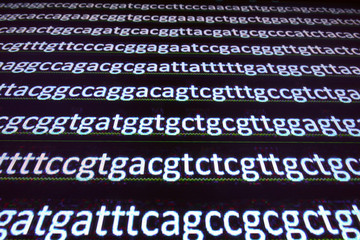 Sequencing the gene.