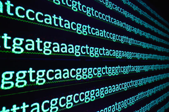 Sequencing the gene.