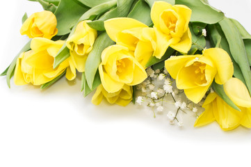 Yellow tulips with yellow ribbon on beige
