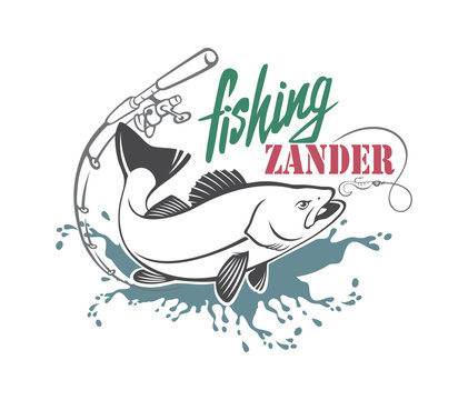 zander fishing
