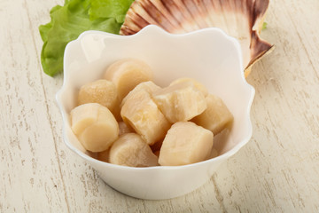 Raw scallops heap