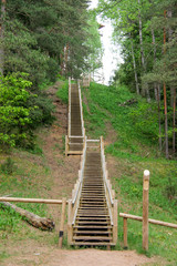 Obraz premium wooden stairs in the forest