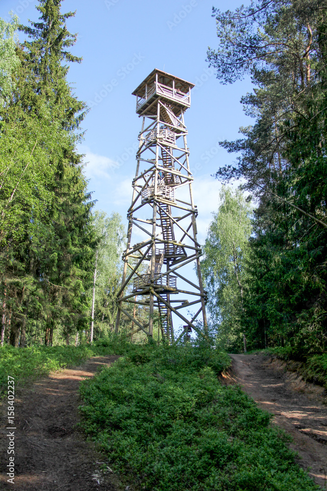 Wall mural watchtower in the forest