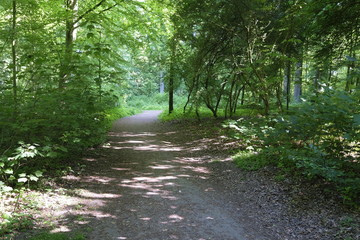 Pellens-Park in Bremen im Frühling