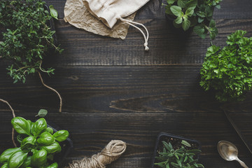 Fresh herbs on the dark wooden table, top view. Rustic background with copy space