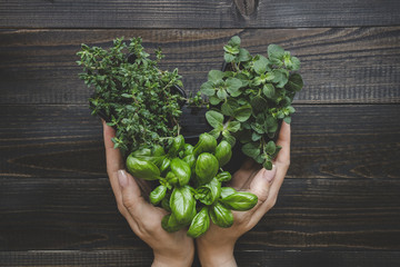 Hands holding fresh herbs in heart shape on the dark wooden table, top view