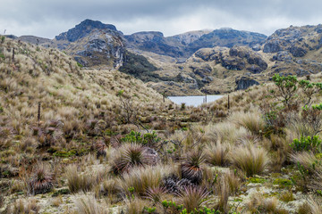 Lanscape of National Park Cajas, Ecuador
