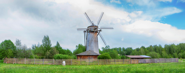 A white horse grazing near a wooden mill on the spring meadow near the old village