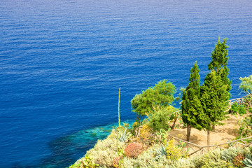 beautiful sea view with trees on the rocks in Tropea, Italy