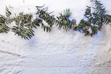Snowy christmas background with fir branches.