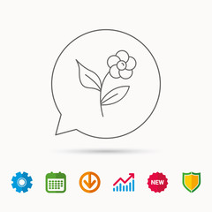 Flower with petals icon. Plant with leaves sign. Floral decoration symbol. Calendar, Graph chart and Cogwheel signs. Download and Shield web icons. Vector