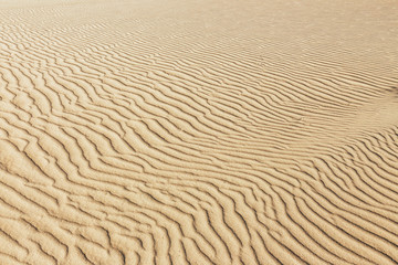 Lines in the sand of a beach, close up