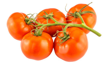 Tomatoes bunch isolated on white background close up.