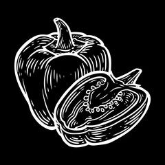 Paprika pepper, chilly spice Vector hand drawn vector illustration. Fresh organic vegetable, hot sweet pepper in engraved style. Detailed food drawing. For label, poster, print. isolated on black