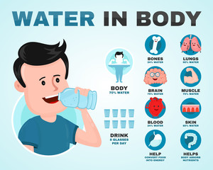 Water in body infographic. Young man drink water. Vector flat modern style illustration character icon design. Isolated on white background.  Healthy care, body balance, anatomy concept