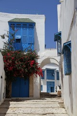 Fototapeta na wymiar typical house in greece