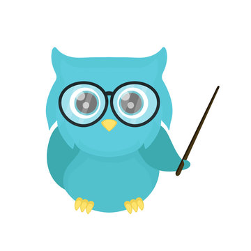 Smart owl teacher with a pointer. Vector flat cartoon character illustration design. Isolated on white background