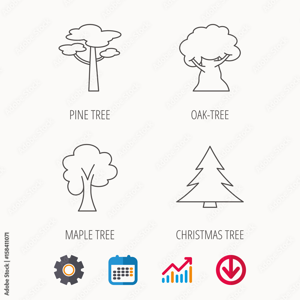Poster pine tree, maple and oak-tree icons. forest trees linear signs. calendar, graph chart and cogwheel s