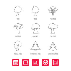 Pine tree, maple and oak icons. Christmas trees linear signs. Forest trees flat line icons. Report document, Graph chart and Calendar signs. Laptop and Check web icons. Vector