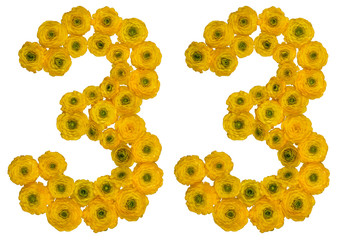 Arabic numeral 33, thirty three, from yellow flowers of buttercup, isolated on white background