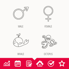 Male, female and octopus icons. Whale linear sign. Edit document, Calendar and Graph chart signs. Star, Check and House web icons. Vector