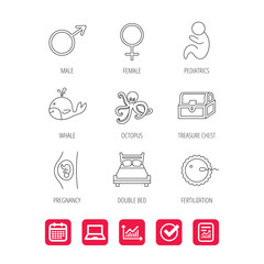 Fototapeta premium Fertilization, pregnancy and pediatrics icons. Baby child, whale and octopus linear signs. Treasure chest, double bed icons. Report document, Graph chart and Calendar signs. Laptop and Check web icons