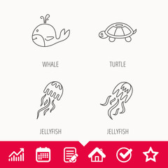 Turtle and jellyfish  icons. Whale linear sign. Edit document, Calendar and Graph chart signs. Star, Check and House web icons. Vector