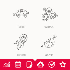 Octopus, turtle and dolphin icons. Jellyfish linear sign. Edit document, Calendar and Graph chart signs. Star, Check and House web icons. Vector