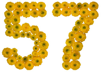 Arabic numeral 57, fifty seven, from yellow flowers of buttercup, isolated on white background