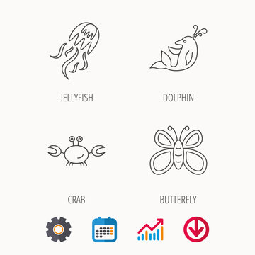 Jellyfish, crab and dolphin icons. Butterfly linear sign. Calendar, Graph chart and Cogwheel signs. Download colored web icon. Vector