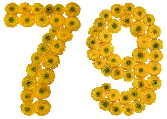 Arabic numeral 79, seventy nine, from yellow flowers of buttercup, isolated on white background