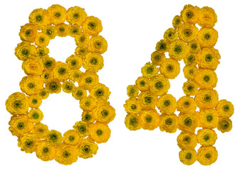 Arabic numeral 84, eighty four, from yellow flowers of buttercup, isolated on white background