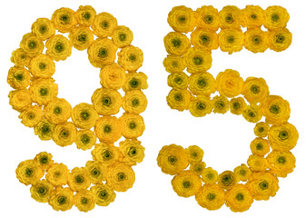 Arabic numeral 95, ninety five, from yellow flowers of buttercup, isolated on white background