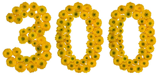 Arabic numeral 300, three hundred, from yellow flowers of buttercup, isolated on white background