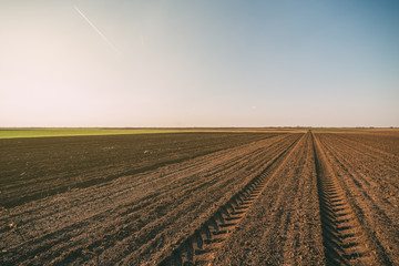 Agricultural landscape, arable crop field. Arable land is the land under temporary agricultural crops capable of being ploughed and used to grow crops.