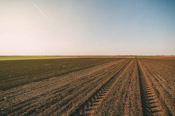 Agricultural landscape, arable crop field. Arable land is the land under temporary agricultural...