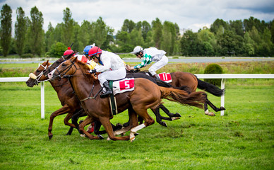 Obraz na płótnie Canvas Race horses with jockeys on the home straight