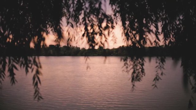 a beautiful southern sunset , river Bank with trees