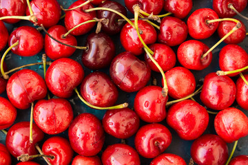 Ripe glossy sweet cherries with water drops scattered on dark blue background, seamless pattern, template, vibrant colors, top view