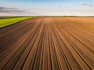 Foto op Canvas Agricultural landscape, arable crop field. Arable land is the land under temporary agricultural crops capable of being ploughed and used to grow crops. © oticki