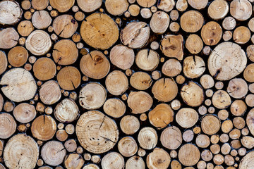 logpile background