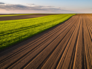 Agricultural landscape, arable crop field. Arable land is the land under temporary agricultural crops capable of being ploughed and used to grow crops. - obrazy, fototapety, plakaty
