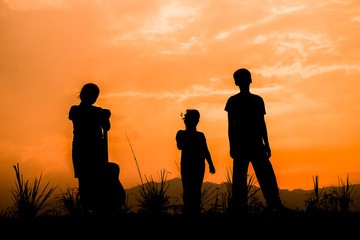 Fototapeta na wymiar Group of happy children playing on meadow at sunset