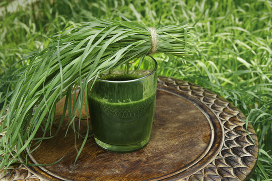 Glass of wheatgrass juice on a brown wooden table