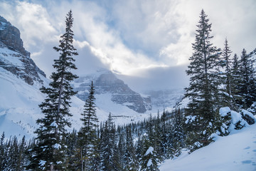 Rocky Mountain near Lake Louise