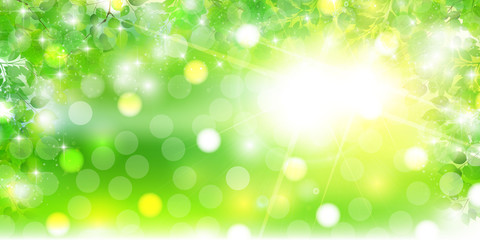 Obraz premium 新緑 葉 風景 背景