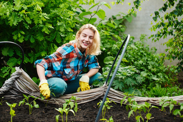 The girl in the process of planting seedlings in a greenhouse in the garden