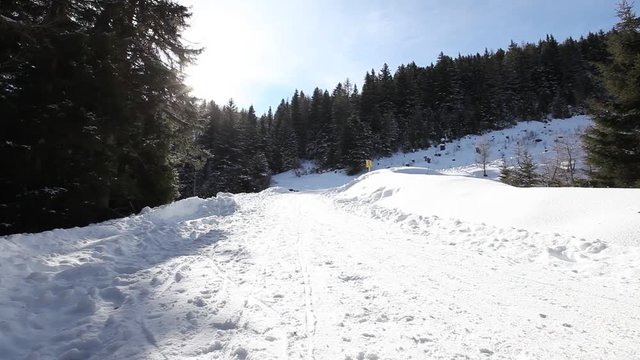 sleigh, winter holiday snow activity, friends having fun sledding in Austrian Alps